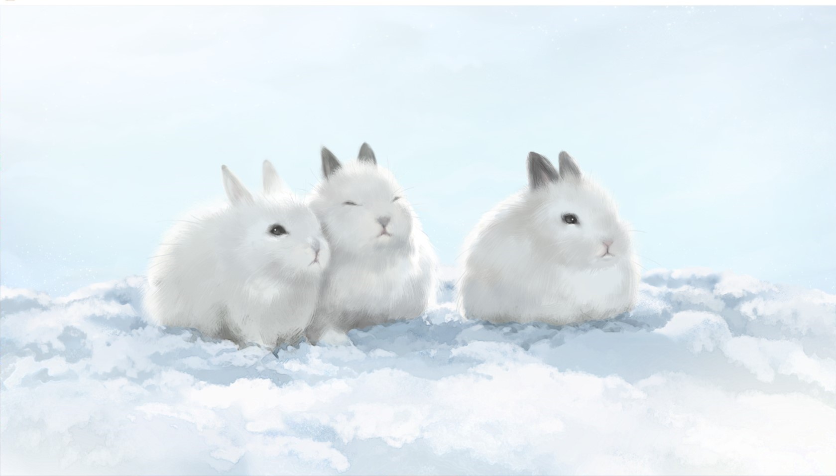 关于网站主题的一点思路